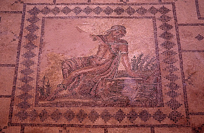 Archäologischer Park: Haus des Dionysos: Mosaik Paphos