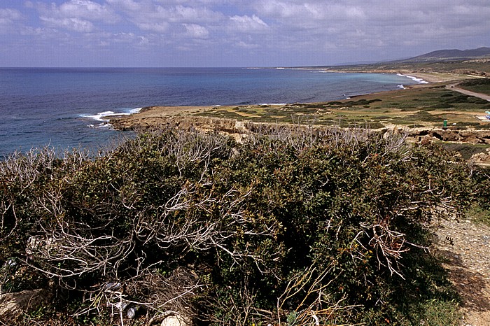 Mittelmeer, Küste Peyia