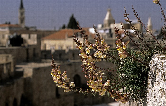 Altstadt (Armenisches Viertel): Davidszitadelle Jerusalem