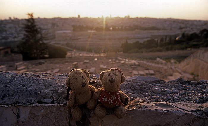 Jerusalem Ölberg: Teddy und Teddine Altstadt Jüdischer Friedhof Tempelberg