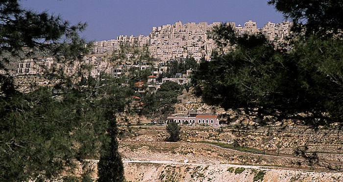 Bethlehem Bait Sahur
