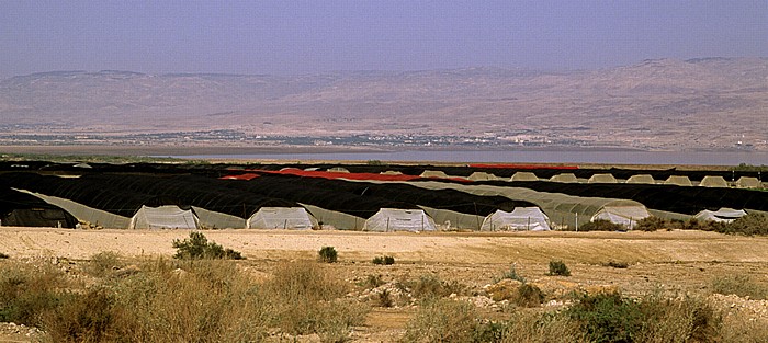 Qumran Jordantal, Totes Meer, Jordanien
