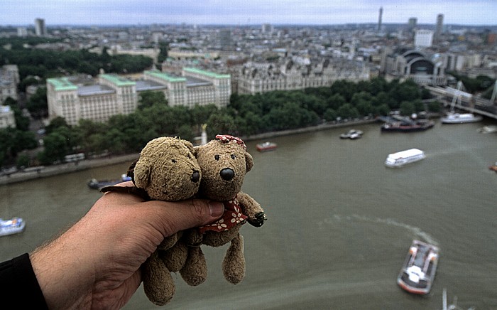 London Eye: Teddy und Teddine