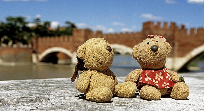 Verona Centro Storico (Altstadt): Teddy und Teddine Etsch Ponte Scaligero