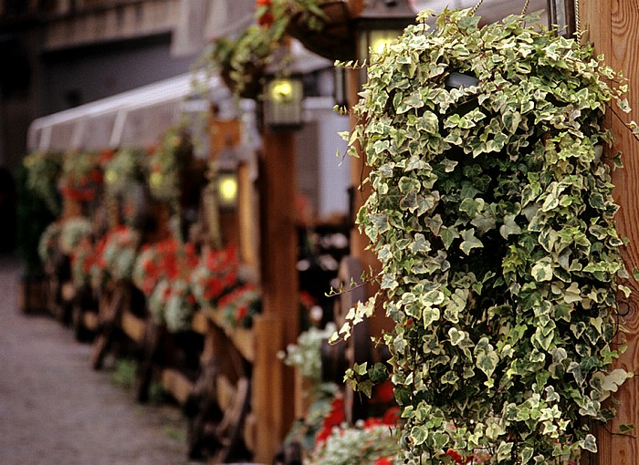 Riga Altstadt: Livuplatz (Livu laukums)