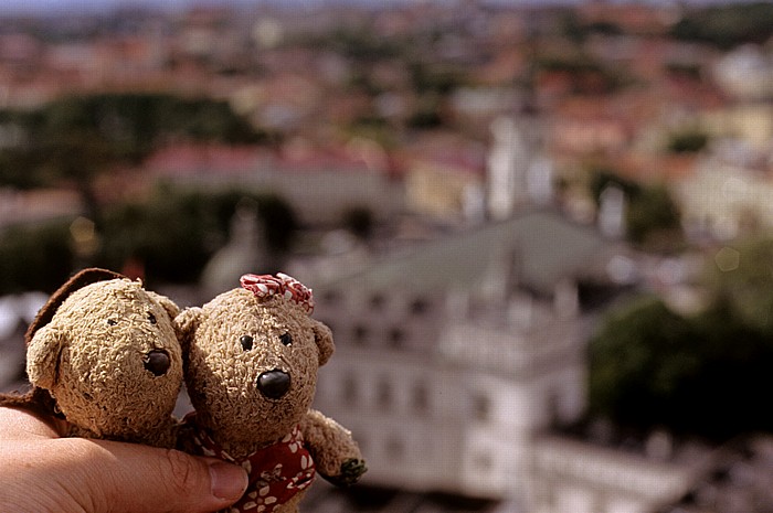 Vilnius Gediminas-Turm (Gedimino pilis): Teddy und Teddine Altstadt