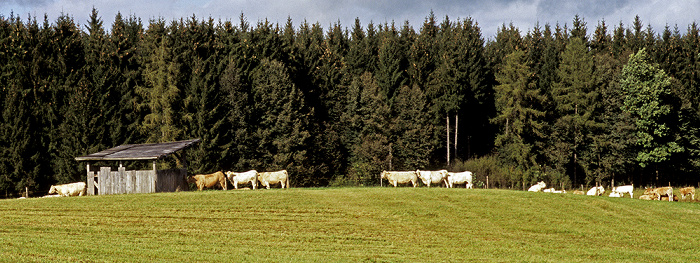 Zwischen Possenhofen und Andechs Fünfseenland