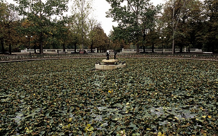 Sofia Borissowa gradina (Borisgarten): Lilienteich