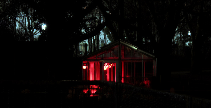 Zoologischer Garten: Flamingoanlage Karlsruhe