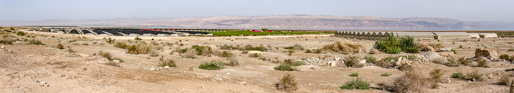 Qumran Jordantal mit Obstplantagen