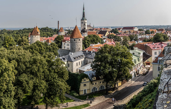 Blick vom Domberg: Altstadt mit Türme der Stadtmauer und der Olaikirche Tallinn
