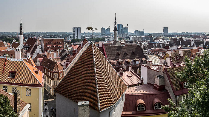 Blick vom Domberg: Altstadt mit den Türmen von Heiliggeistkirche und Tallinner Rathaus  Tallinn