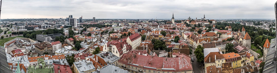Tallinn Blick von der Olaikirche: Altstadt Domberg