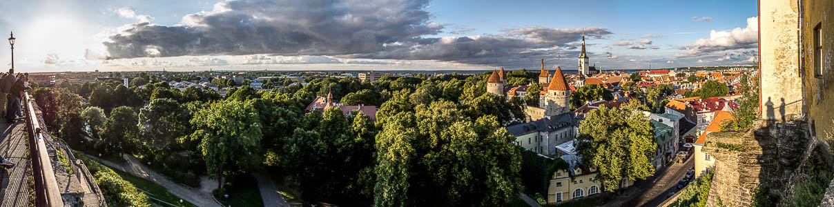 Tallinn Blick vom Domberg: Altstadt Olaikirche Stadtmauer