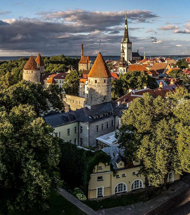 Blick vom Domberg: Altstadt mit Türmen der Stadtmauer und Olaikirche Tallinn