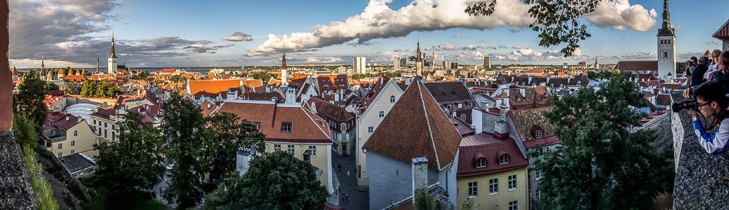 Tallinn Blick vom Domberg: Altstadt Heiliggeistkirche Nikolaikirche Olaikirche Rathaus