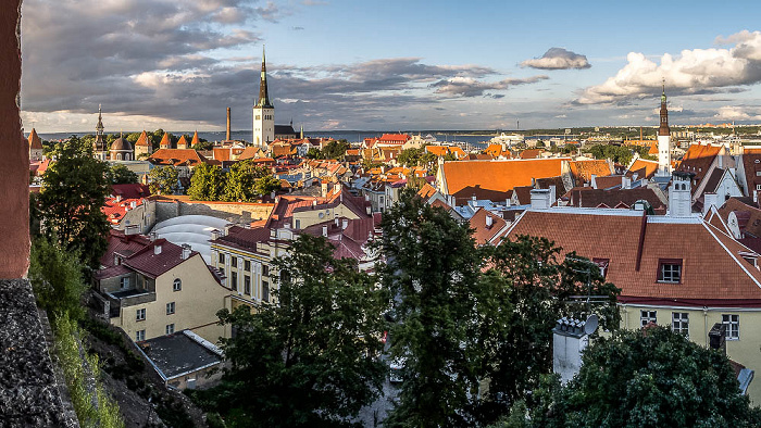 Tallinn Blick vom Domberg: Altstadt Heiliggeistkirche Olaikirche