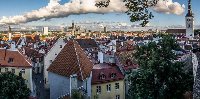 Blick vom Domberg: Altstadt Tallinn