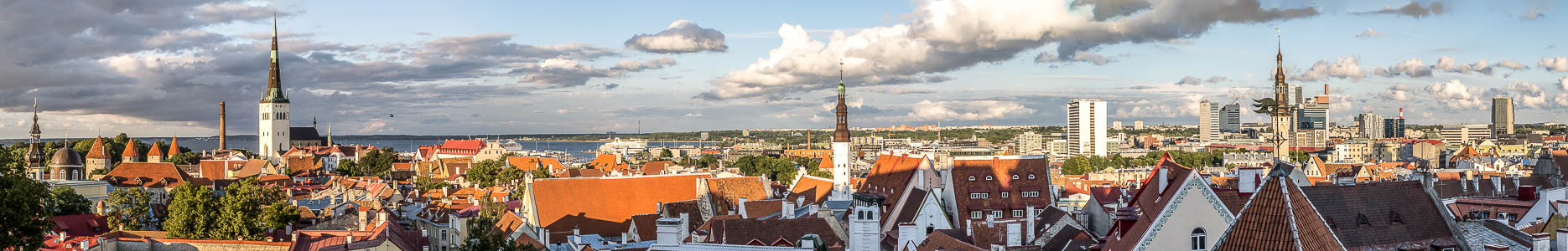 Tallinn Blick vom Domberg: Altstadt Heiliggeistkirche Olaikirche Rathaus