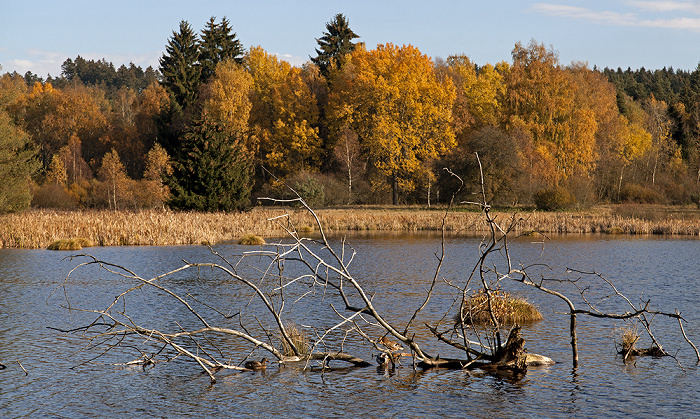 Schwenninger Moos VS-Schwenningen