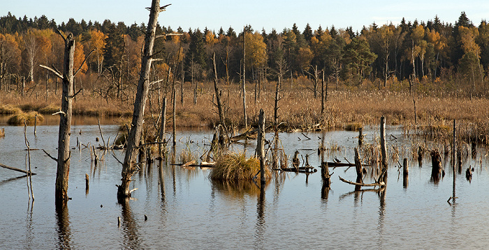 VS-Schwenningen Schwenninger Moos