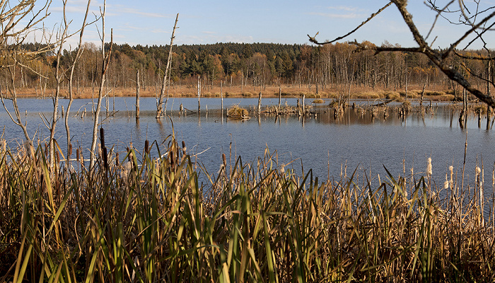 VS-Schwenningen Schwenninger Moos