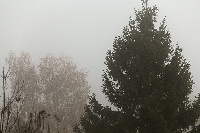 Leimgrabenweg Pfohren