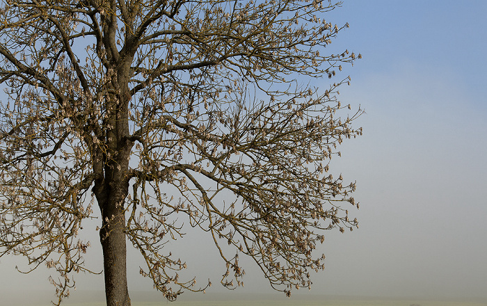 Leimgrabenweg Pfohren