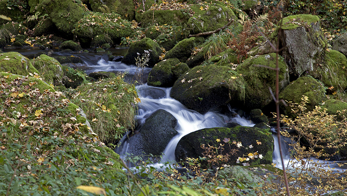 Triberger Wasserfälle Triberg