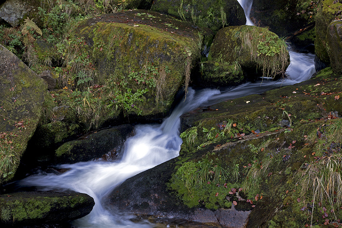 Triberger Wasserfälle Triberg