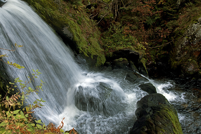 Triberger Wasserfälle Triberg