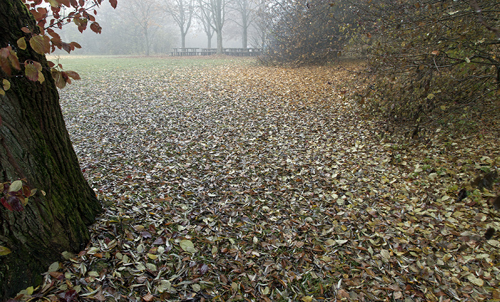 Unterföhring Am Feringasee