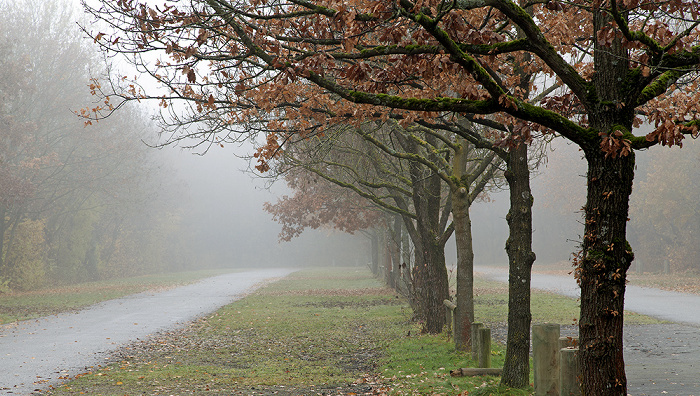 Unterföhring Parkplatz am Feringasee