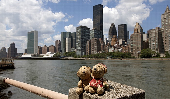 New York City Roosevelt Island: Teddy und Teddine East River Manhattan