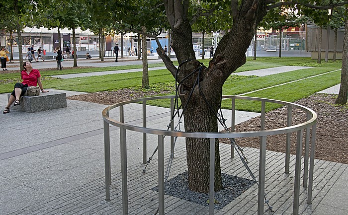 New York City World Trade Center Site (Ground Zero): 9/11 Memorial - Überlebensbaum