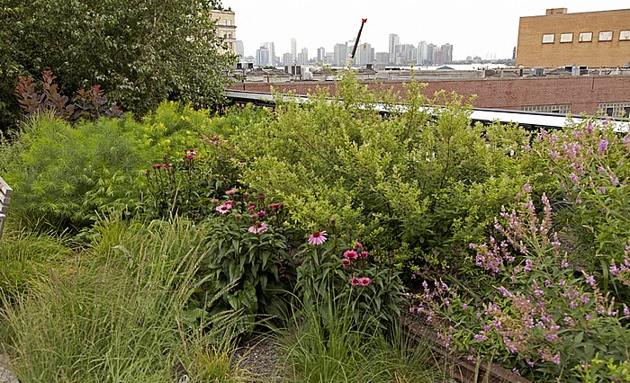 New York City West Village (Greenwich Village): High Line Park