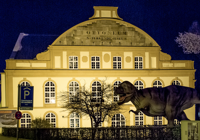 Kassel Friedrichsplatz: Ottoneum (Naturkundemuseum)