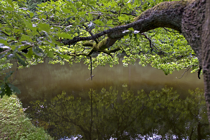 Bergpark Wilhelmshöhe: Fontänenreservoir (Großes Reservoir) Kassel