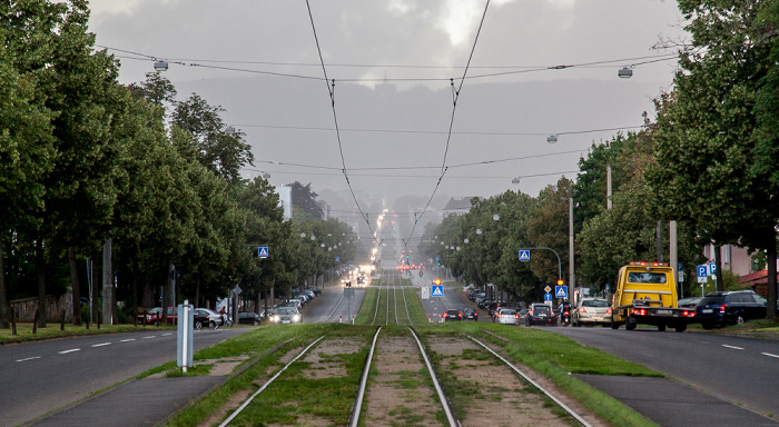 Wilhelmshöher Allee Kassel