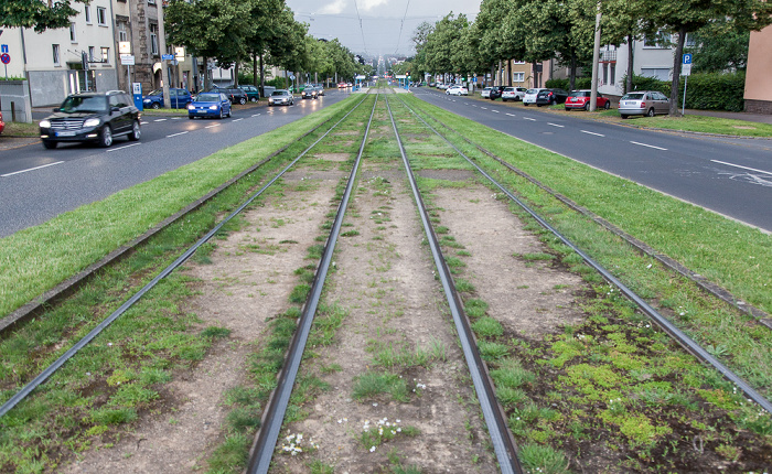 Wilhelmshöher Allee Kassel