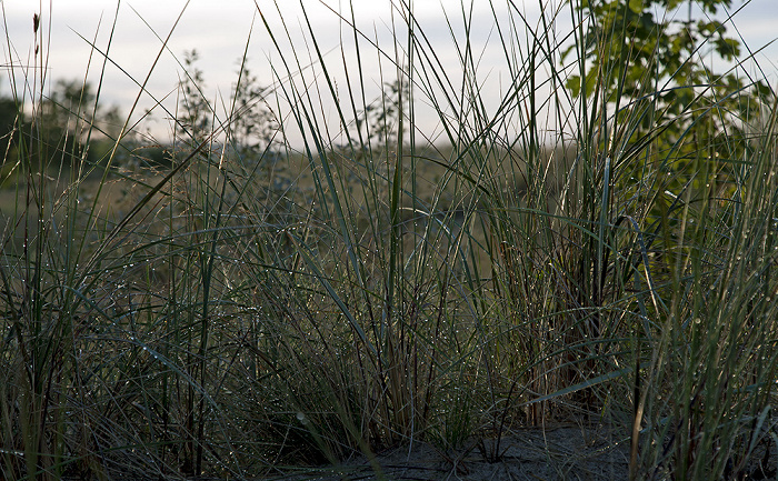 Ahlbeck Strand