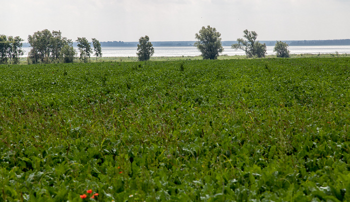 Stettiner Haff Usedom (Stadt)