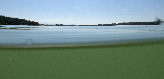 Pilsensee Seefeld (Oberbayern)