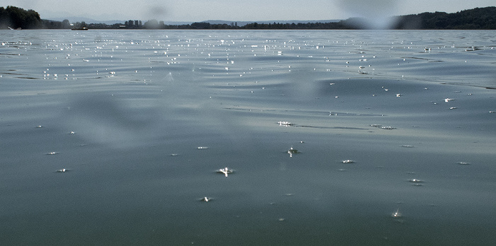 Pilsensee Seefeld (Oberbayern)