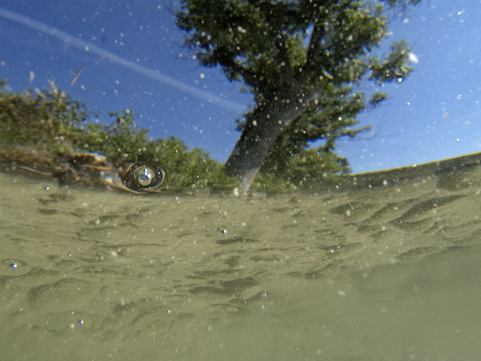 Pilsensee - Unter Wasser Seefeld (Oberbayern)