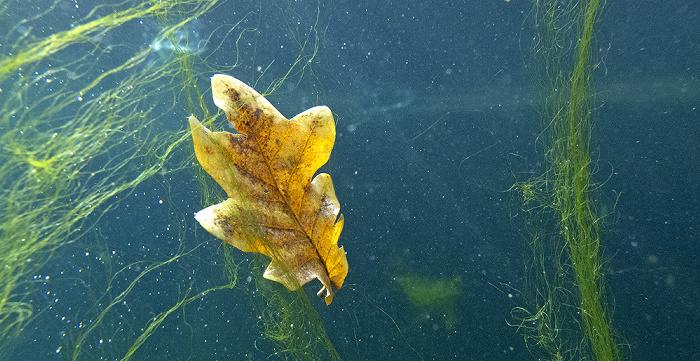 Karlsruhe Zoologischer Stadtgarten: Aquarium Zoologischer Garten