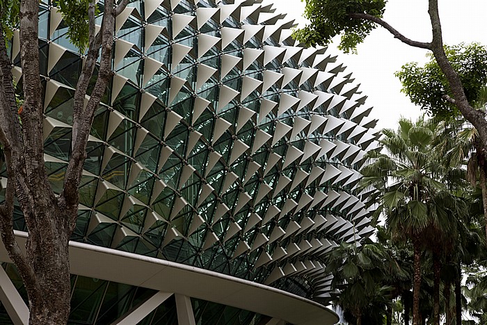 Esplanade - Theatres on the Bay Singapur