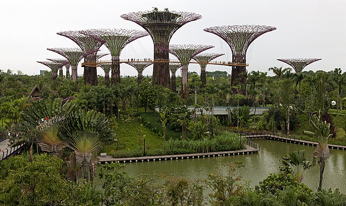 Singapur Gardens by the Bay: Bay South Garden - The Supertree Grove mit dem OCBC Skyway