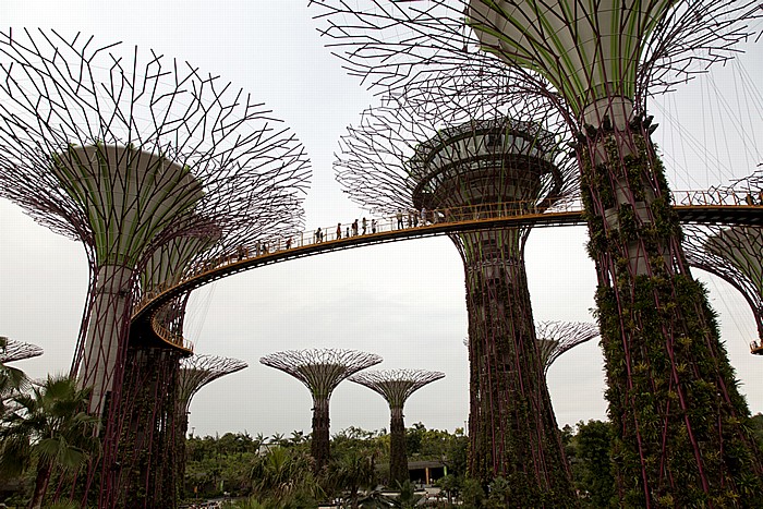 Singapur Gardens by the Bay: Bay South Garden - The Supertree Grove mit dem OCBC Skyway