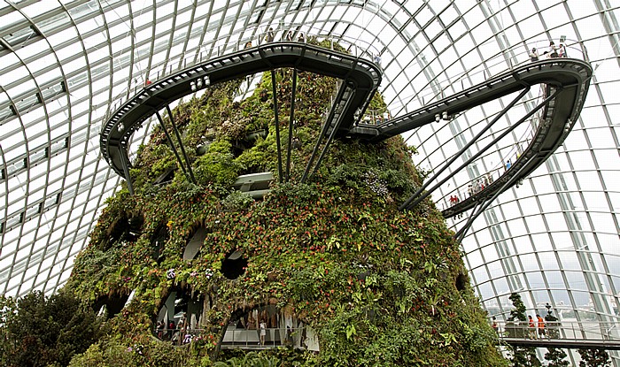 Singapur Gardens by the Bay: Bay South Garden - Cloud Forest